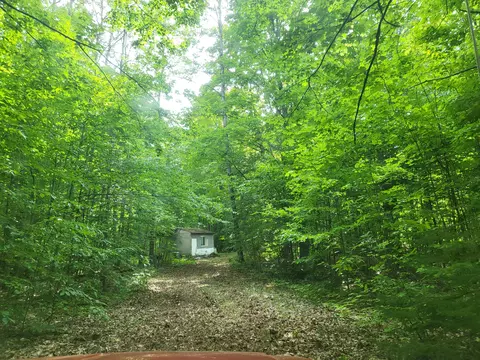 Exterior - 9933 N Roberts Rd, Frederic, MI 49733 photo 18 of 20