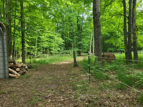 Exterior - 9933 N Roberts Rd, Frederic, MI 49733 photo 15 of 20