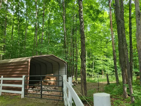 Exterior - 9933 N Roberts Rd, Frederic, MI 49733 photo 14 of 20