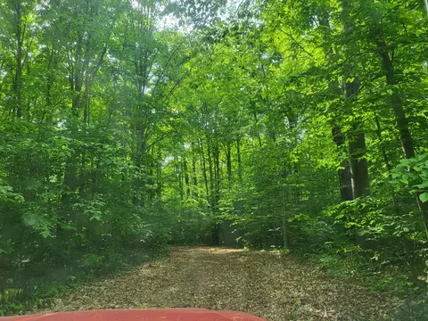 Other - 9933 N Roberts Rd, Frederic, MI 49733 photo 19 of 19