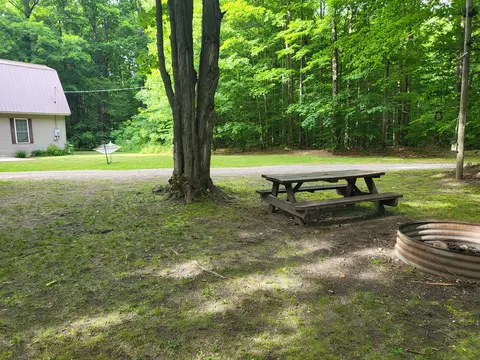 Exterior - 9933 N Roberts Rd, Frederic, MI 49733 photo 17 of 20
