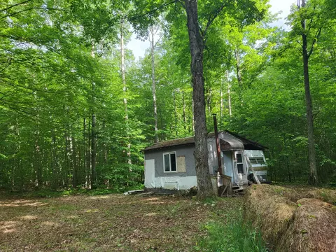 Exterior - 9933 N Roberts Rd, Frederic, MI 49733 photo 19 of 20