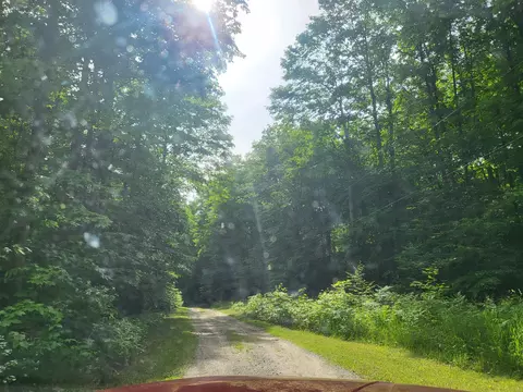 Other - 9933 N Roberts Rd, Frederic, MI 49733 photo 3 of 19