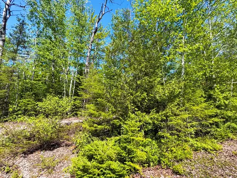 lot25 Northland Heights Dr, Presque Isle, MI 49777