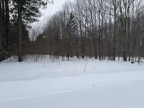 Unit 20 Golf Haven Drive, Kalkaska, MI 49646