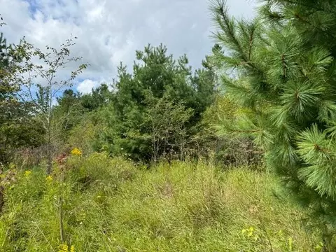 V/L 37 AC Townline Rd #37 ACRES, Cheboygan, MI 49721