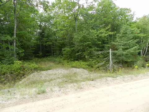 10570 Huron Trl #LOT 48, Cheboygan, MI 49721
