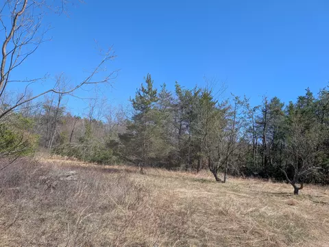 Parcel 3 Sturgis Road #002-018-000-280-03, Atlanta, MI 49709