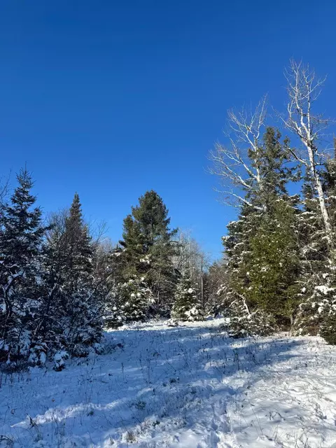 V/L 40AC Taylor Hawks Road #40 ACRES, Alpena, MI 49707