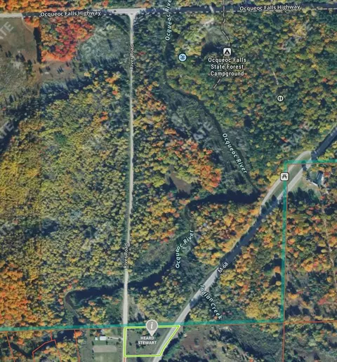 V/L 2 AC M-68 #2 ACRES, Ocqueoc, MI 49759 photo 13