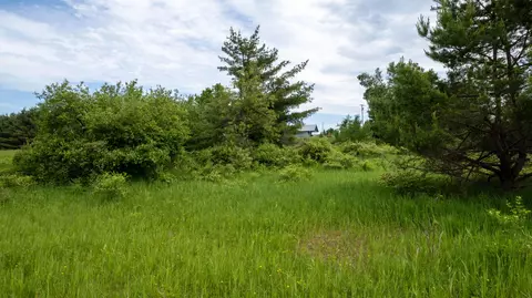 V/L 2 AC M-68 #2 ACRES, Ocqueoc, MI 49759 photo 4