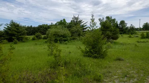 V/L 2 AC M-68 #2 ACRES, Ocqueoc, MI 49759 photo 11