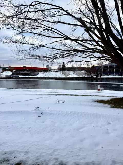 View/Area - 190 Riverside Dr, Cheboygan, MI 49721 photo 4 of 6