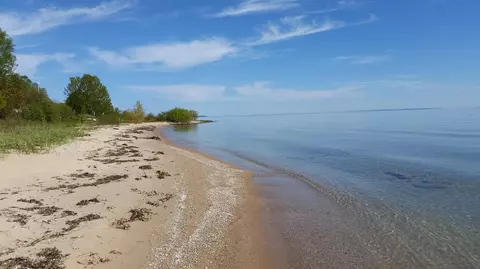 w wildwood lane, Brevort, MI 49760