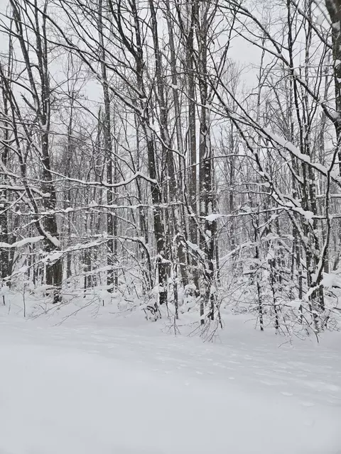 lot Apt 28 Mount Vernon Hills Dr, Vanderbilt, MI 49795