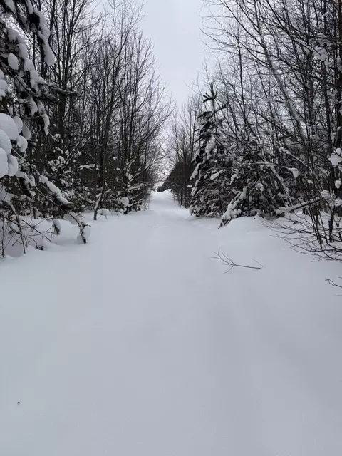 V/L 5 AC Little Lane Ne #5 ACRES, Kalkaska, MI 49646