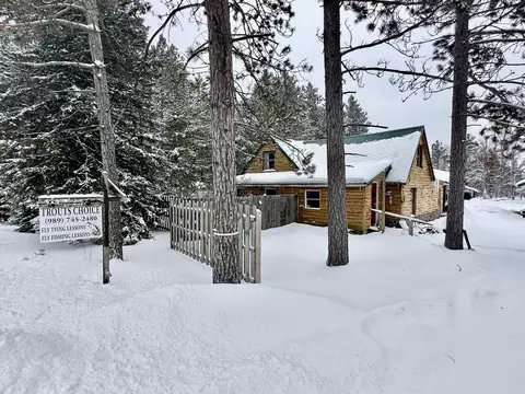 1460 E North Down River Rd, Grayling, MI 49738
