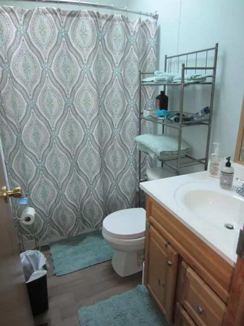 Bath - 111 Anna Ave, Roscommon, MI 48653 photo 2 of 2