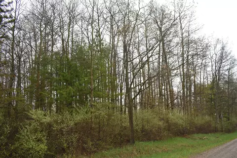 V/L Pratt Road #1.11 ACRES, Ossineke, MI 49766