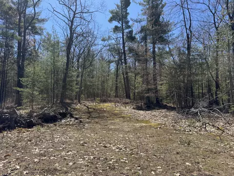 865 Wintree Dr, Indian River, MI 49749