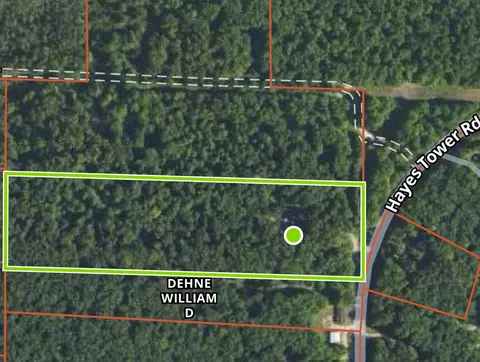 5096 Hayes Tower Rd, Gaylord, MI 49735