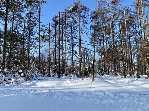 1840 Tree Farm Rd, Gaylord, MI 49735