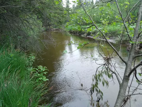 V/L Par 18 Spikehorn Trail #PARCEL 18, Indian River, MI 49749