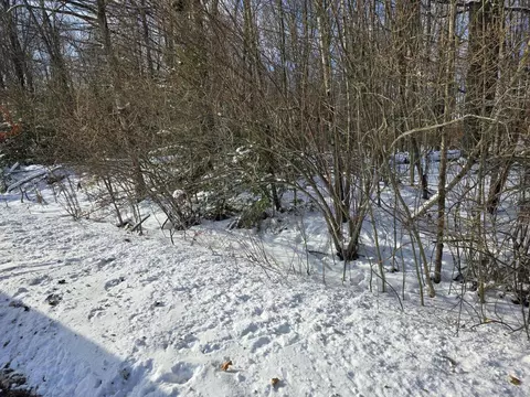 V/L 0.28AC N Everett Road #0.28 ACRES, Roscommon, MI 48653