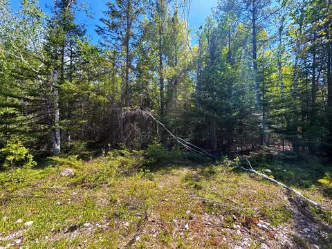 lot311 Kauffman Rd, Presque Isle, MI 49777