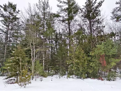 lot311 Kauffman Rd, Presque Isle, MI 49777