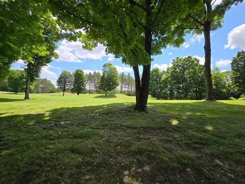 Unit #9 Bear Paws Trail, Vanderbilt, MI 49795 photo 5