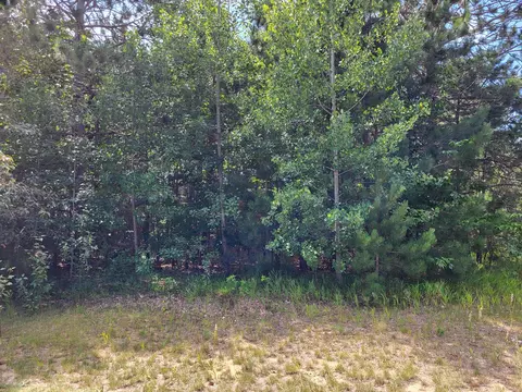 Unit #9 Bear Paws Trail, Vanderbilt, MI 49795 photo 3