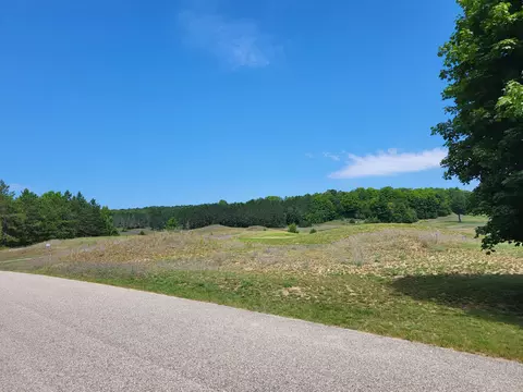 Unit #9 Bear Paws Trail, Vanderbilt, MI 49795 photo 4