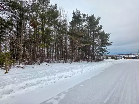 V/l Lot 13 Rivers Ridge Court, Cheboygan, MI 49721