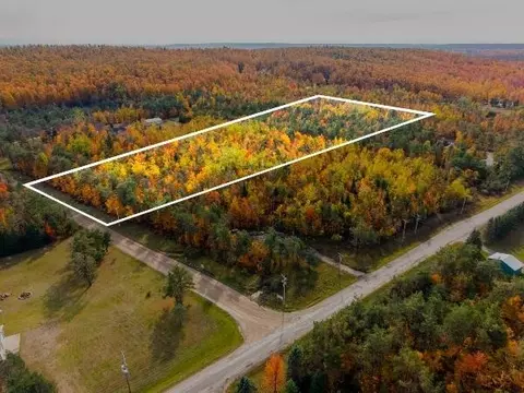 V/L Par 98 Wildwood Trail #PARCEL 98, Vanderbilt, MI 49795
