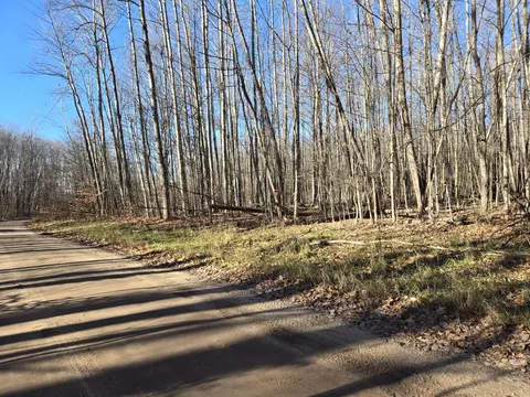 9614 Birch Run Trl, Gaylord, MI 49735