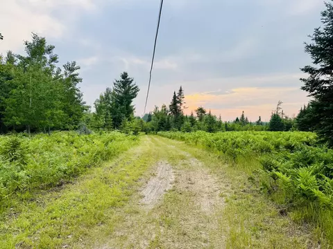 6378 Macey Ln #22.4 ACRES, Alpena, MI 49707