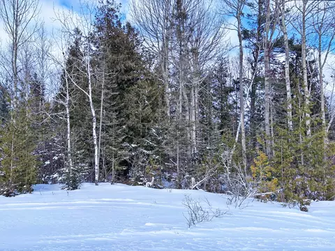 lot148 E County Road 638, Presque Isle, MI 49777