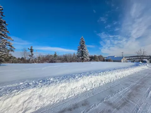 lot16 Vl Old Orchard Ln, Cheboygan, MI 49721