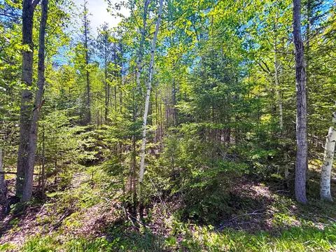 lot118 Timberway Dr, Presque Isle, MI 49777