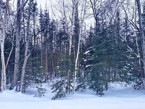 lot118 Timberway Dr, Presque Isle, MI 49777