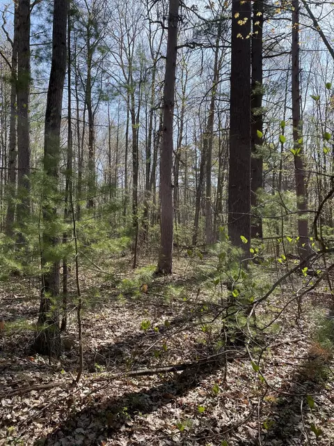 10 Lots Arthur St Apt Lot Apt 13-17 38-42 #LOT 13-17 & 38-42, Topinabee, MI 49791