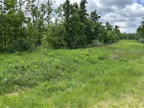 V/L Par 9 M-32 #PARCEL 9, Hillman, MI 49746