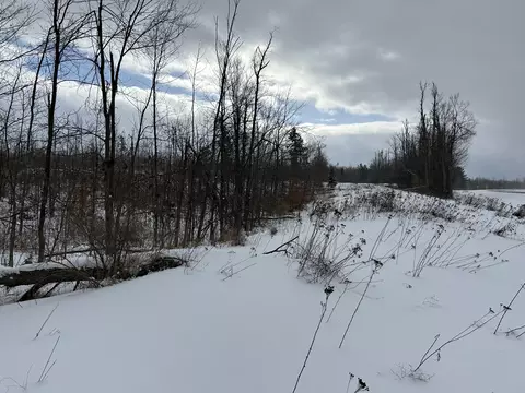V/L Par 9 M-32 #PARCEL 9, Hillman, MI 49746