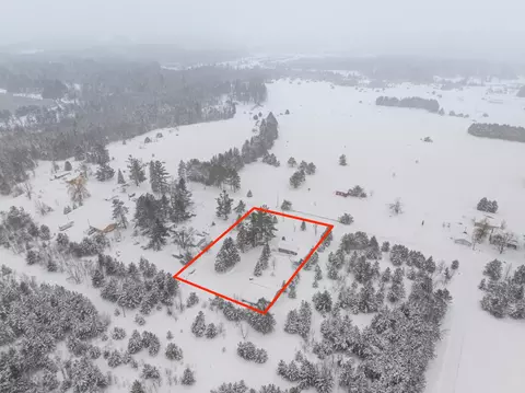 View/Area - 7788 Randolph St, Vanderbilt, MI 49795 photo 2 of 11