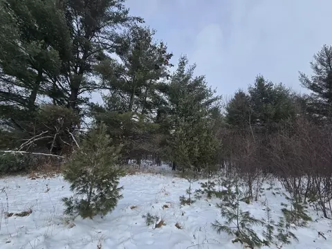 1111 E Vandercook, Mikado, MI 48745 photo 36