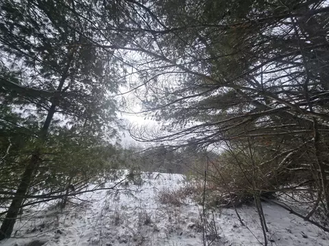 1111 E Vandercook, Mikado, MI 48745 photo 35