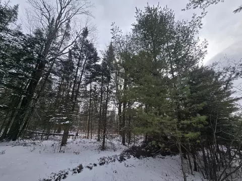 1111 E Vandercook, Mikado, MI 48745 photo 13