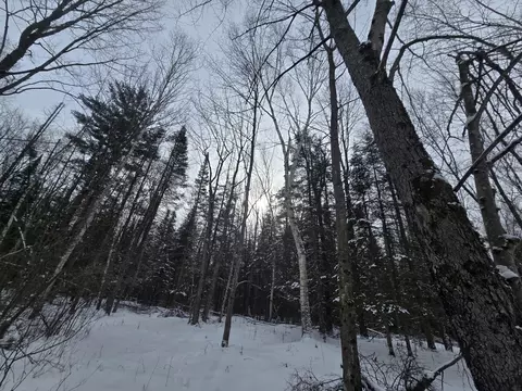 1111 E Vandercook, Mikado, MI 48745 photo 6