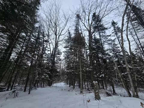 1111 E Vandercook, Mikado, MI 48745 photo 5